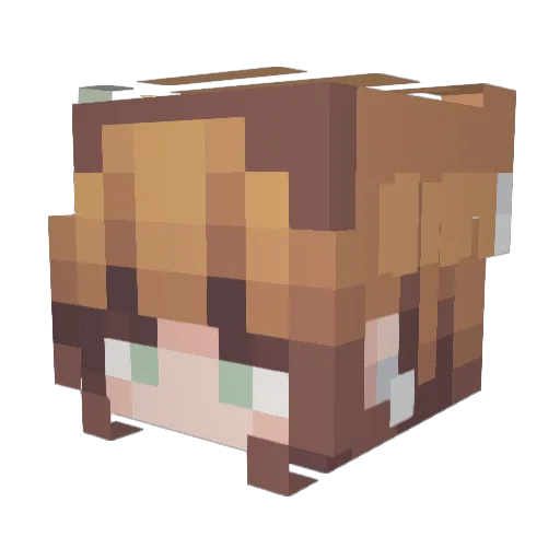 Owlblaze Minecraft avatar head, 3D render