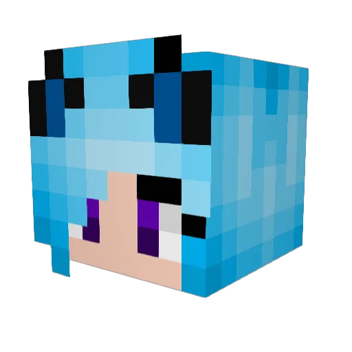 Owlcard Minecraft avatar head, 3D render