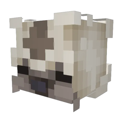 Owlet20 Minecraft avatar head, 3D render