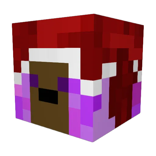 Owlie2489 Minecraft avatar head, 3D render