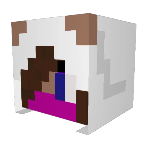 Owlletter Minecraft avatar head, 3D render