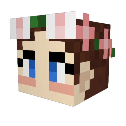 Owllicks Minecraft avatar head, 3D render