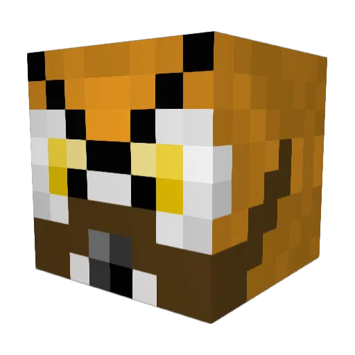 Owlrus98 Minecraft avatar head, 3D render