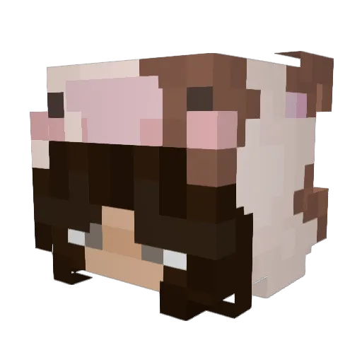 Owltheloser Minecraft avatar head, 3D render