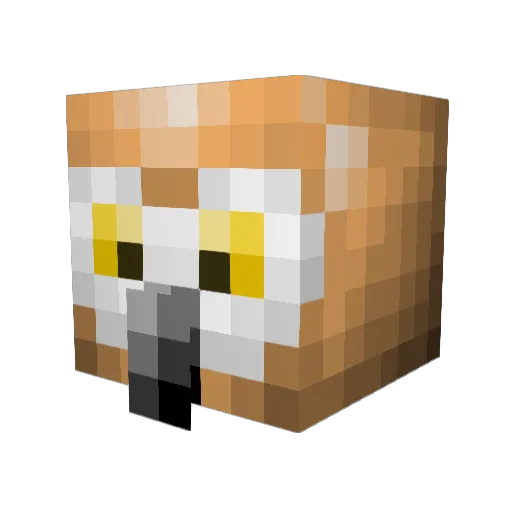 OwlyEcho Minecraft avatar head, 3D render