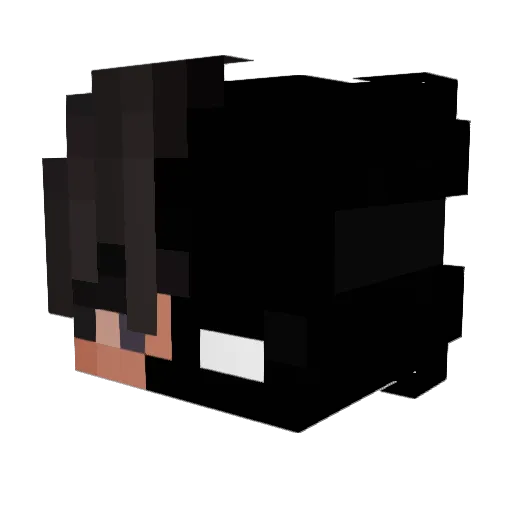 Owlzinho Minecraft avatar head, 3D render