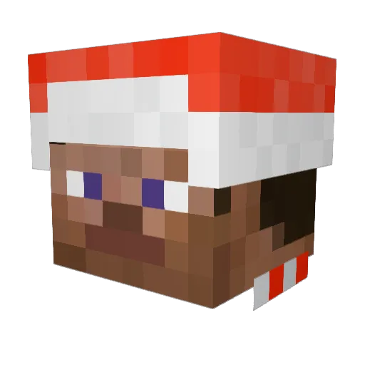 Owner Minecraft avatar head, 3D render