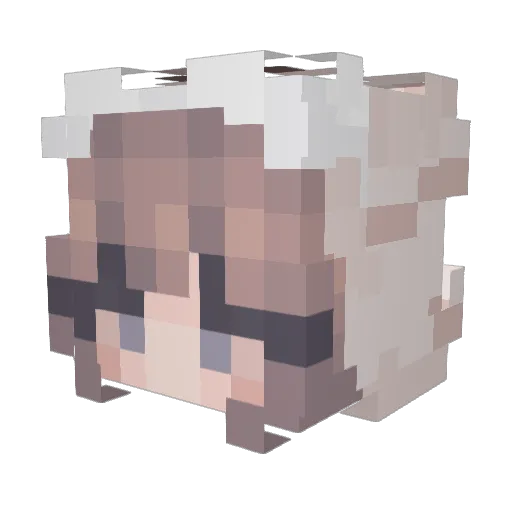OwnerHistory Minecraft avatar head, 3D render