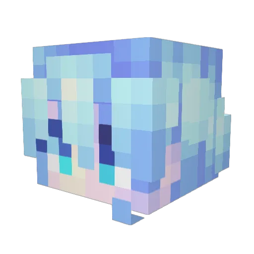 OwnerX3 Minecraft avatar head, 3D render