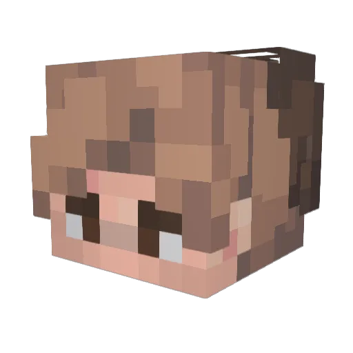 Owshiem Minecraft avatar head, 3D render