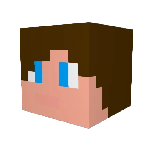 Oxerjyn Minecraft avatar head, 3D render