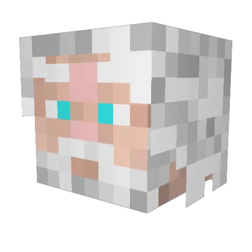 Oxide989 Minecraft avatar head, 3D render
