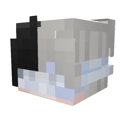 Oxijorys Minecraft avatar head, 3D render
