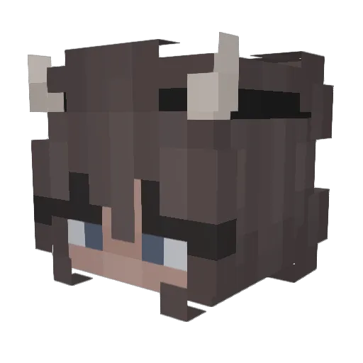 Oxolotl228 Minecraft avatar head, 3D render