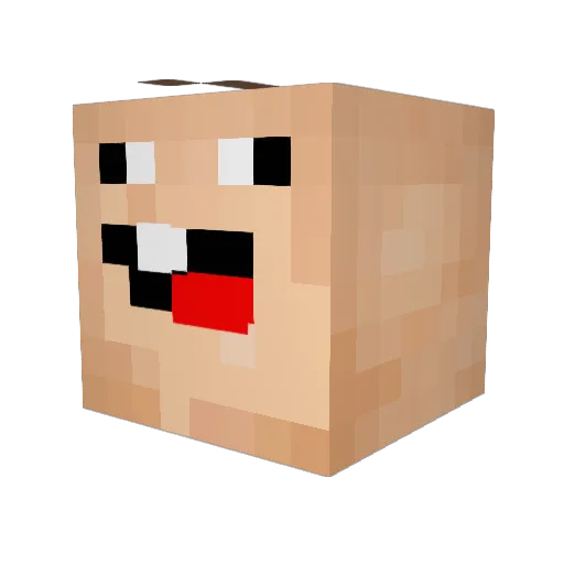 OxxCraft Minecraft avatar head, 3D render