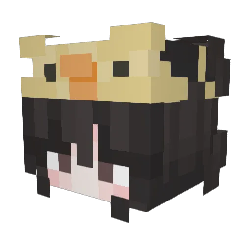 OxyToan Minecraft avatar head, 3D render