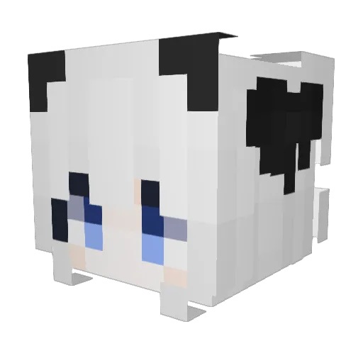 Oylan Minecraft avatar head, 3D render