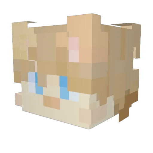 Oyllox Minecraft avatar head, 3D render