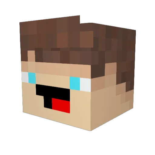 Oyunsuz Minecraft avatar head, 3D render
