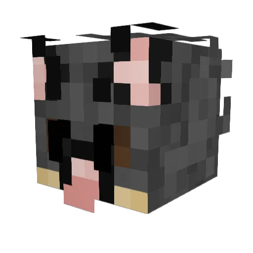 OzPossum Minecraft avatar head, 3D render