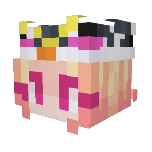 Ozanne_ Minecraft avatar head, 3D render