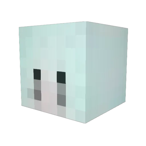 Ozel4747 Minecraft avatar head, 3D render