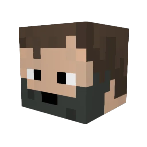 Ozelot003 Minecraft avatar head, 3D render