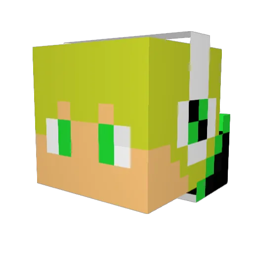 Ozonii Minecraft avatar head, 3D render