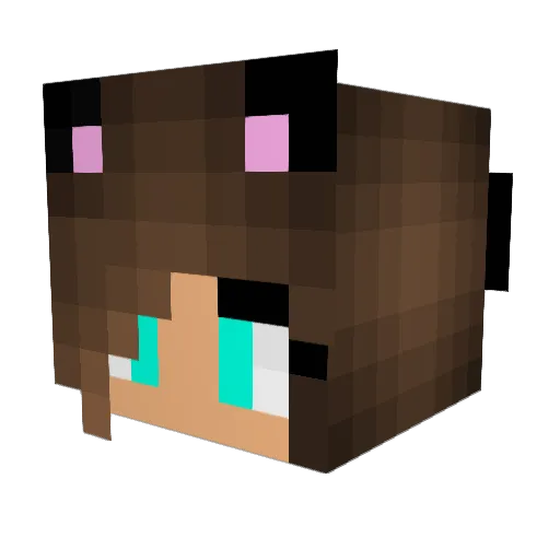 Ozu_Fan Minecraft avatar head, 3D render