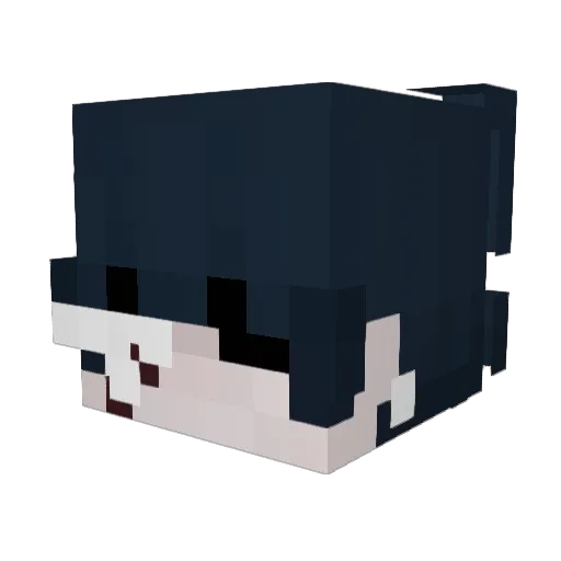 Ozwer_ Minecraft avatar head, 3D render