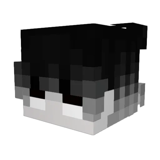 Ozzie39 Minecraft avatar head, 3D render