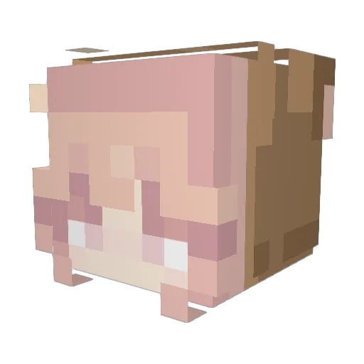 Ozzy_Osbourn3 Minecraft avatar head, 3D render