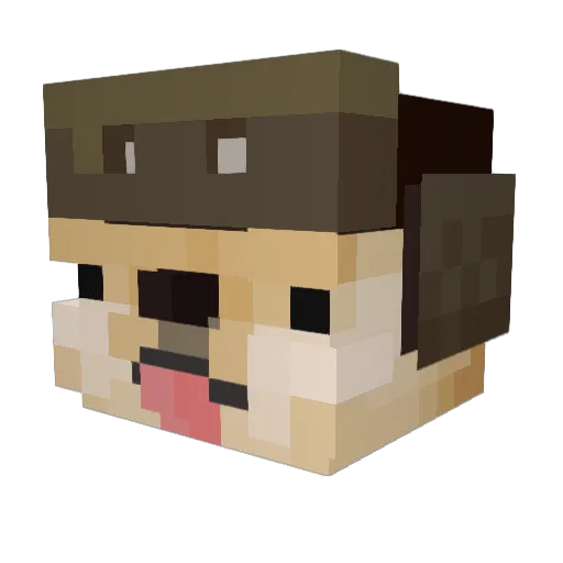Ozzysfortune Minecraft avatar head, 3D render