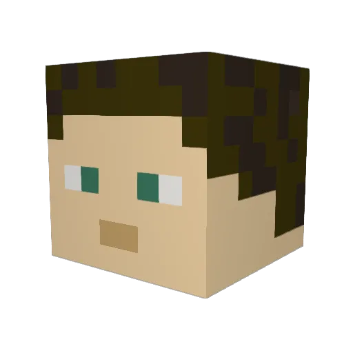 P0L0NEZ Minecraft avatar head, 3D render