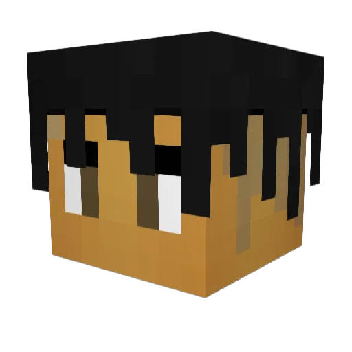 P0LO_G Minecraft avatar head, 3D render