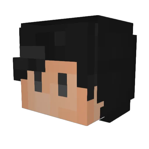 P0LTERGE1ST Minecraft avatar head, 3D render