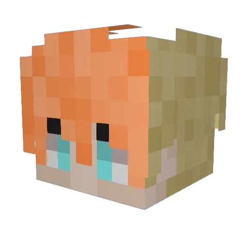 P0S13DEN_ Minecraft avatar head, 3D render