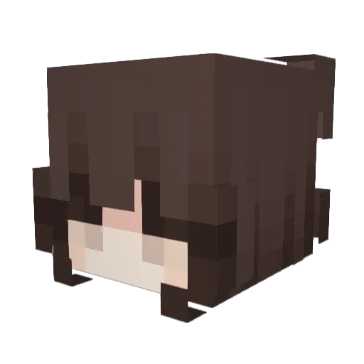 P0WLINA Minecraft avatar head, 3D render