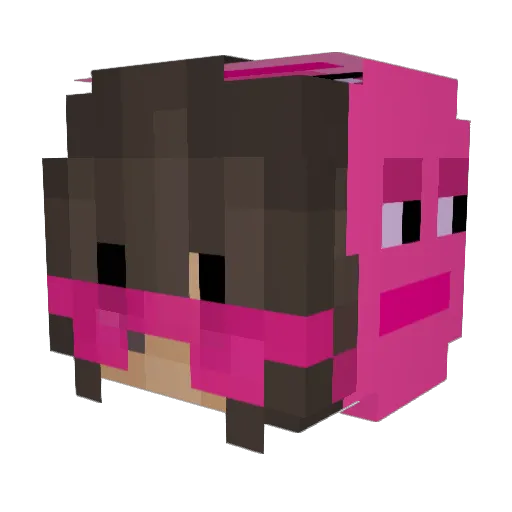 P0bre_ Minecraft avatar head, 3D render