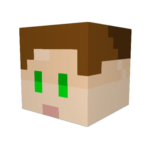 P0cketYeti Minecraft avatar head, 3D render