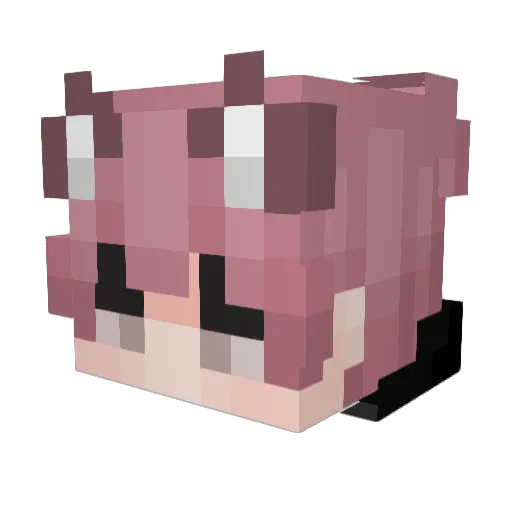 P0ke09 Minecraft avatar head, 3D render