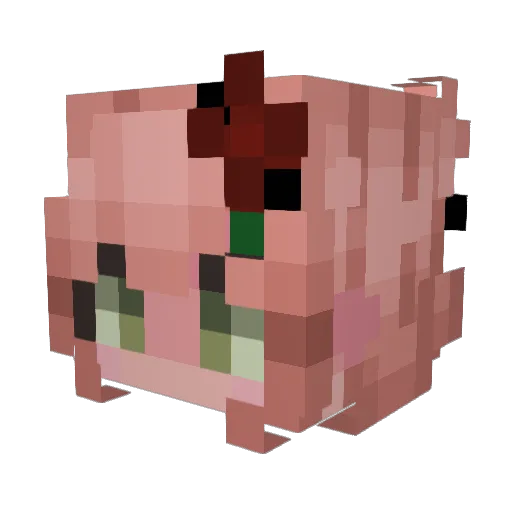 P0kemona Minecraft avatar head, 3D render