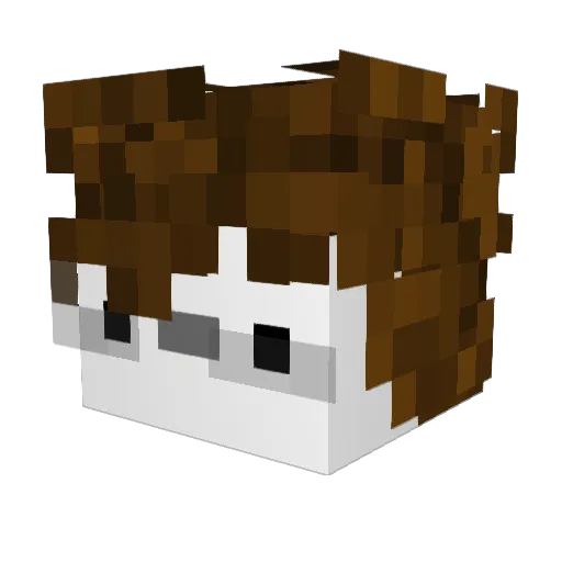 P0l15h Minecraft avatar head, 3D render