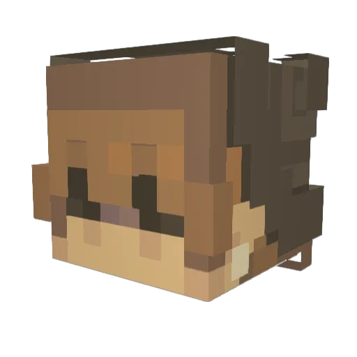 P0llywoggle Minecraft avatar head, 3D render