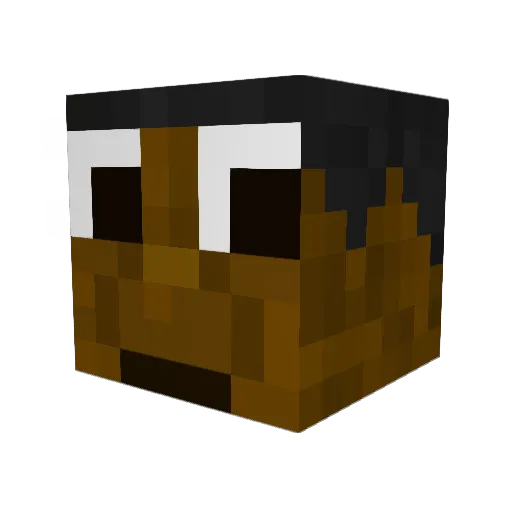 P0lsh1n Minecraft avatar head, 3D render
