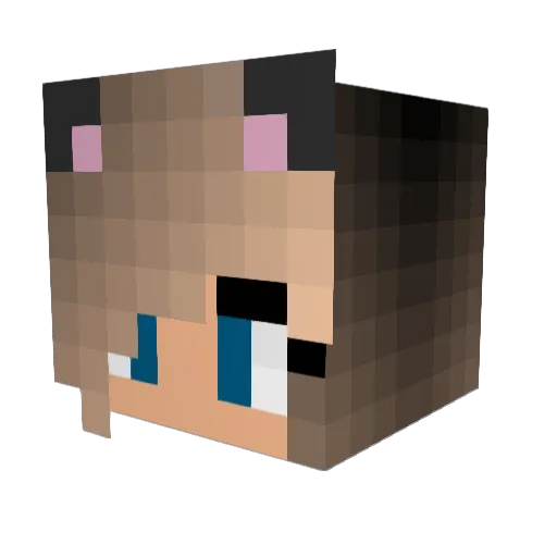 P0nyP0wer Minecraft avatar head, 3D render