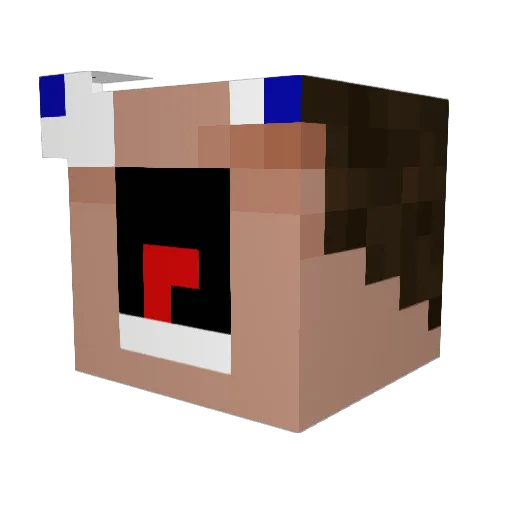 P0opybuthole Minecraft avatar head, 3D render