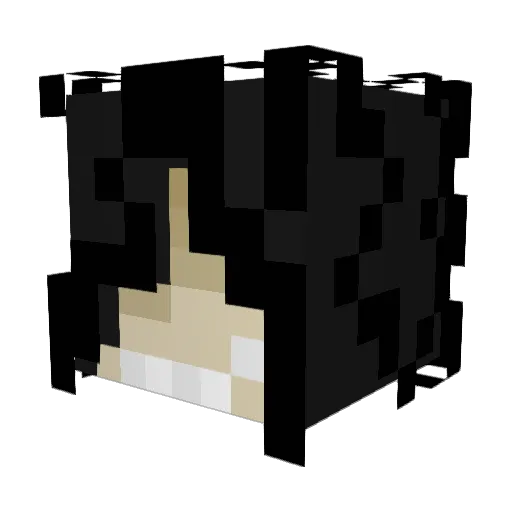 P0rcupain Minecraft avatar head, 3D render