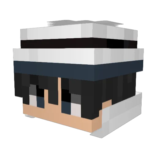 P0tat0chip55 Minecraft avatar head, 3D render