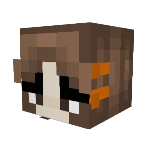 P12Lord Minecraft avatar head, 3D render